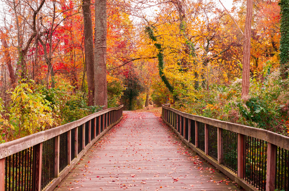 Best Places to Visit in the Fall