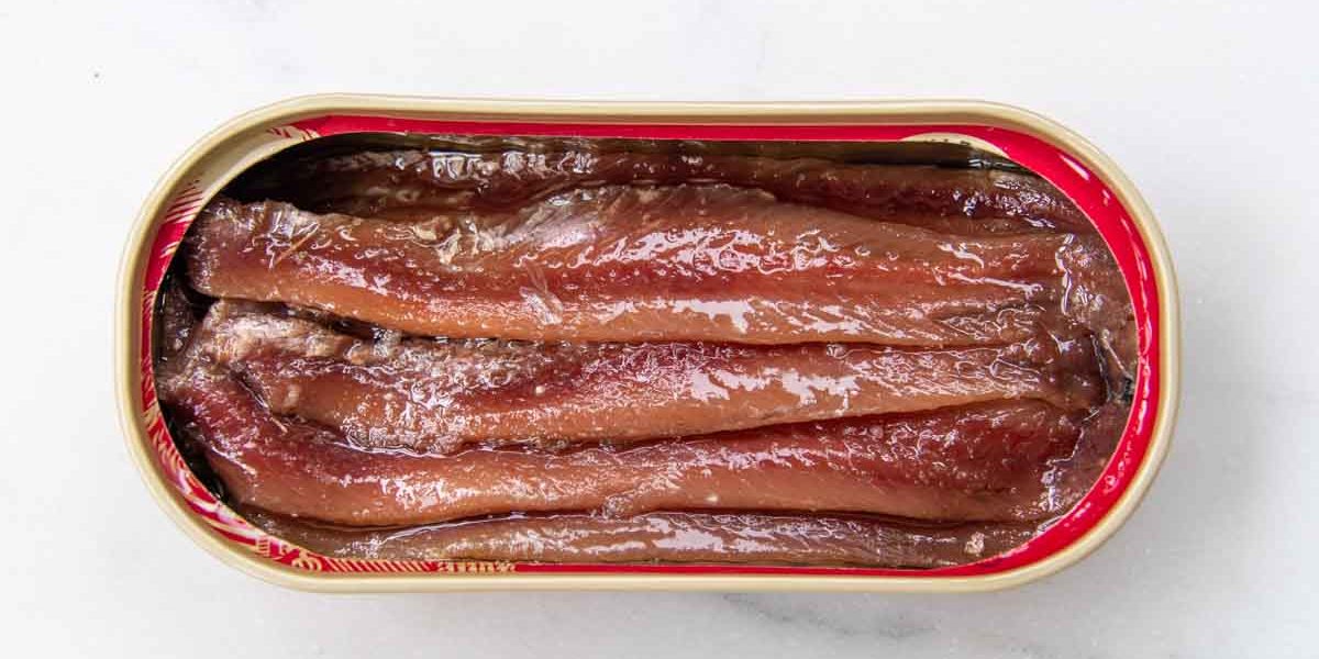 Can Dogs Eat Sardines in Tomato Sauce? 10 Essential Tips for Responsible Feeding Money Shark