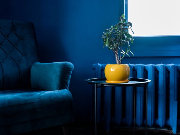 Blue Paint Living Room