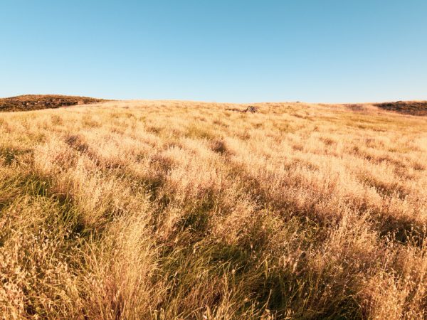 Hayfield High Peak