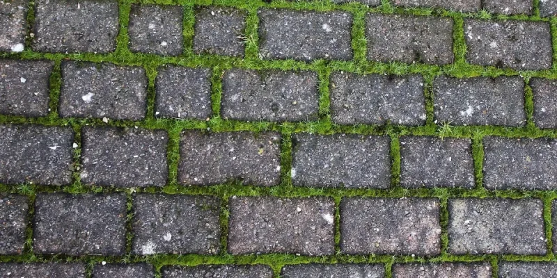 weed killer for paving blockst