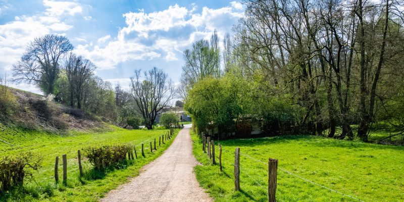 colchester country park