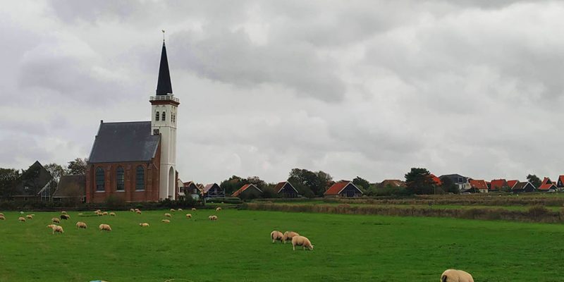 Texel Island