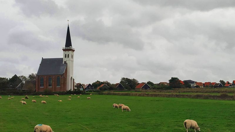 Texel Island