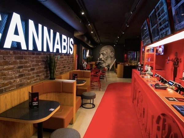 Weed Cafe Rotterdam