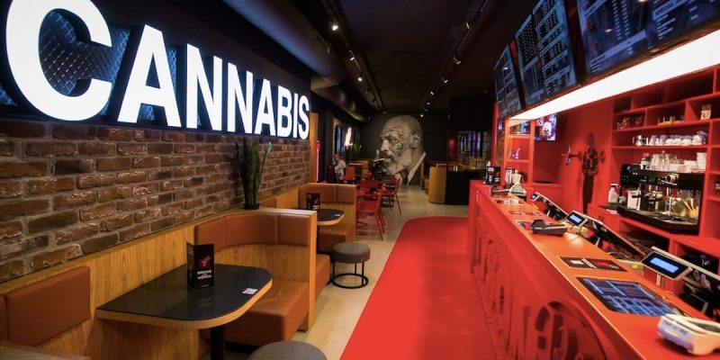 Weed Cafe Rotterdam