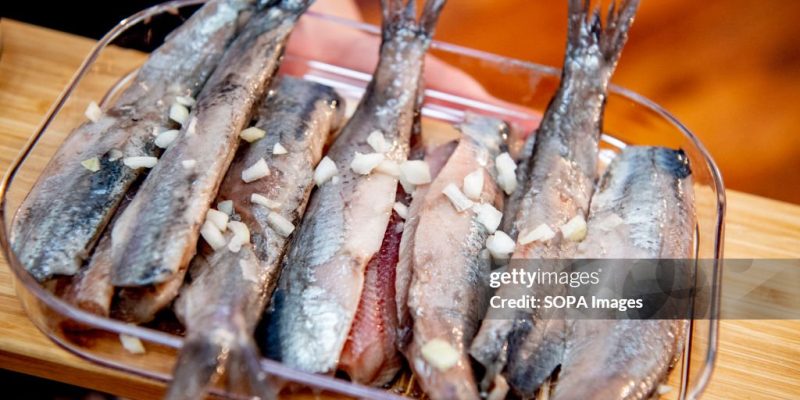 Soused Herring