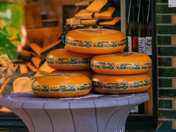 Cheeses from Holland