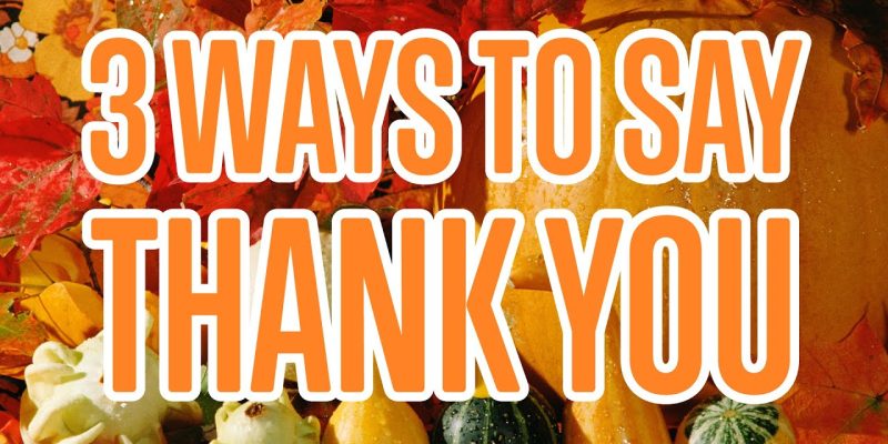 How to Say Thank You in Dutch