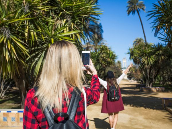 Travellers Palms