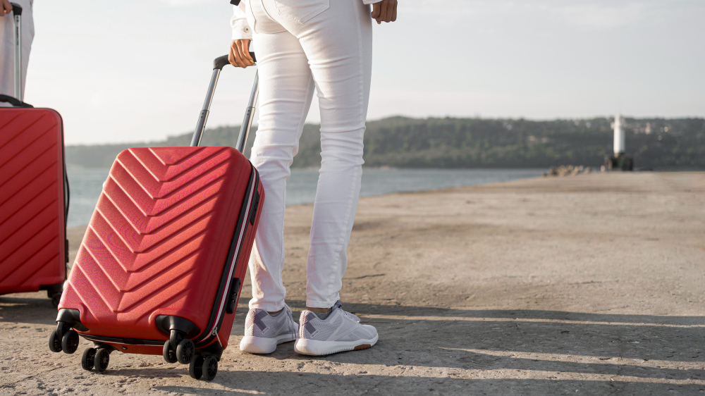 Travel Bag Backpack Wheels