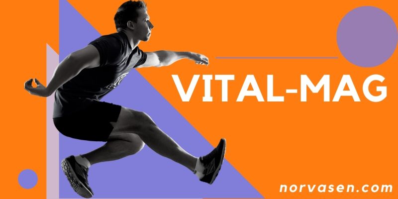 The //vital-mag.net Blog