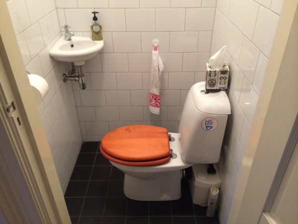 Dutch Toilet