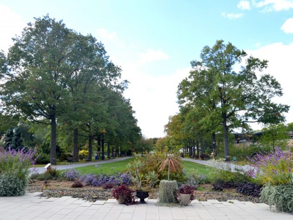 Garden Backdrop