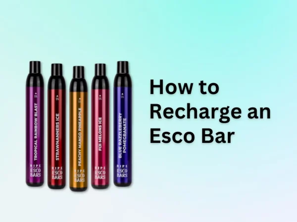 Esco Bar