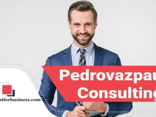 Pedrovazpaulo IT Consulting