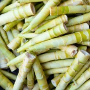 Bamboo shoots