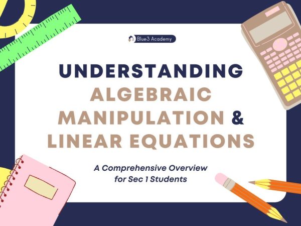 Manipulation Algebra