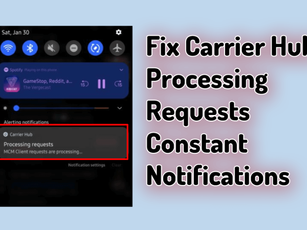 Carrier Hub Processing Requests