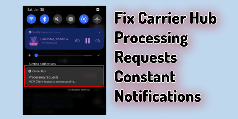 Carrier Hub Processing Requests