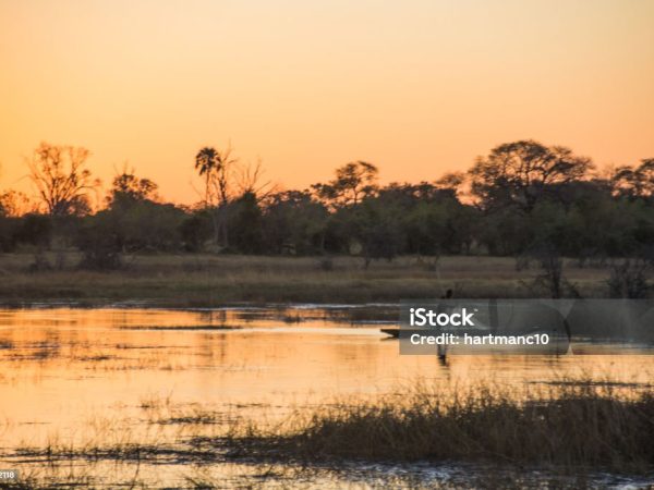 Botswana Safari