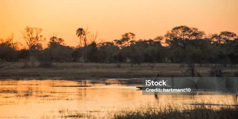 Botswana Safari