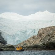 Elephant Island Antarctica