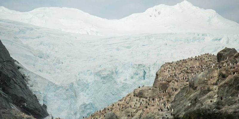 Elephant Island Antarctica