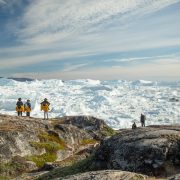 Why Would You Visit the Tundra?