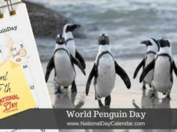 World Penguin Day