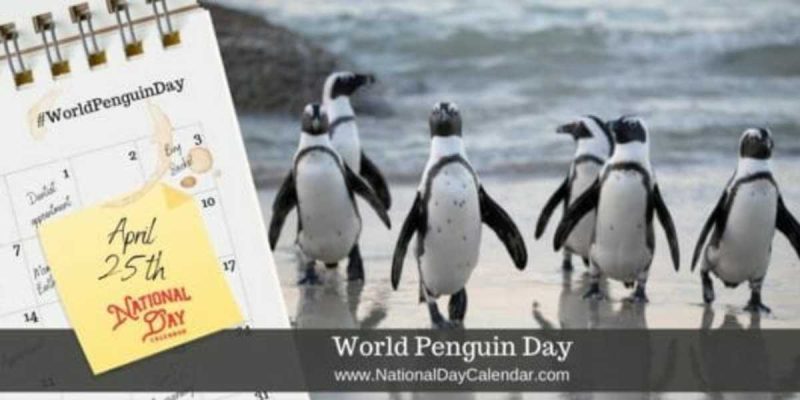 World Penguin Day