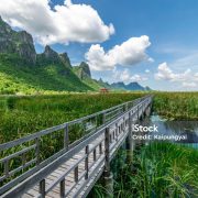 Parque Khao Sok