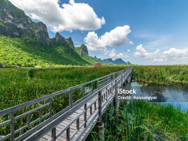 Parque Khao Sok