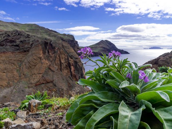 Mauna Kea Hawaii