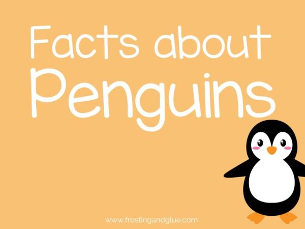 Penguin Fun Facts