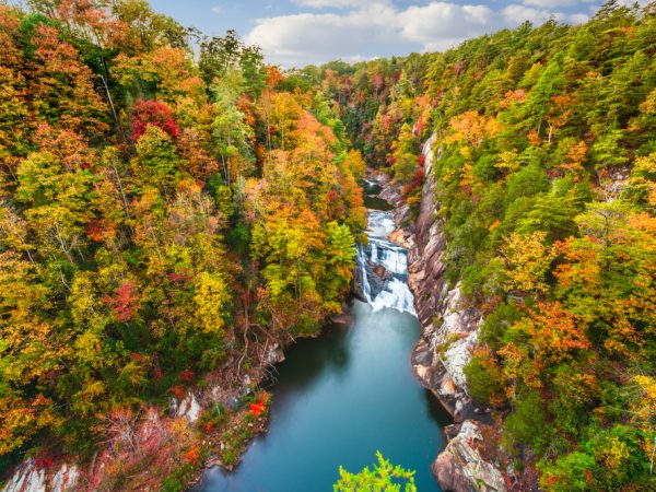 Things to Do in South Georgia