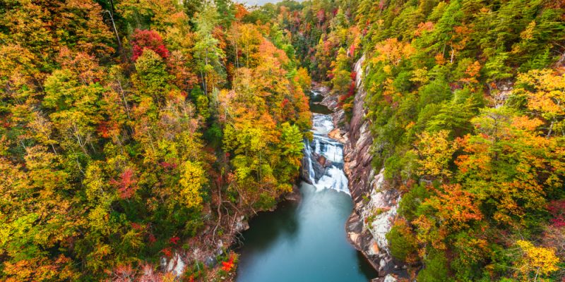 Things to Do in South Georgia