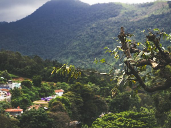 Catucaba Fazenda