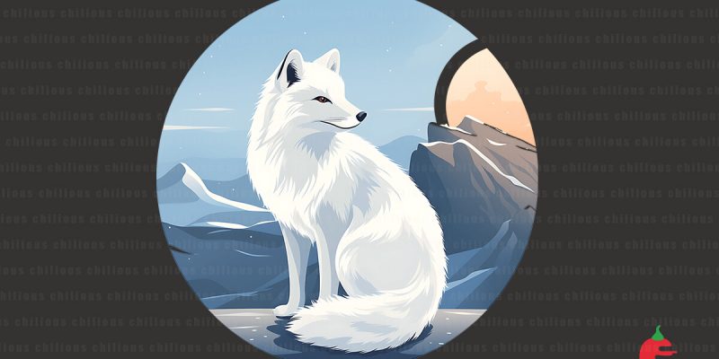 Artic Fox Graphic