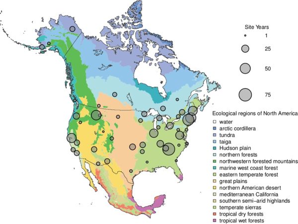 Color the North American Biome Answer Key