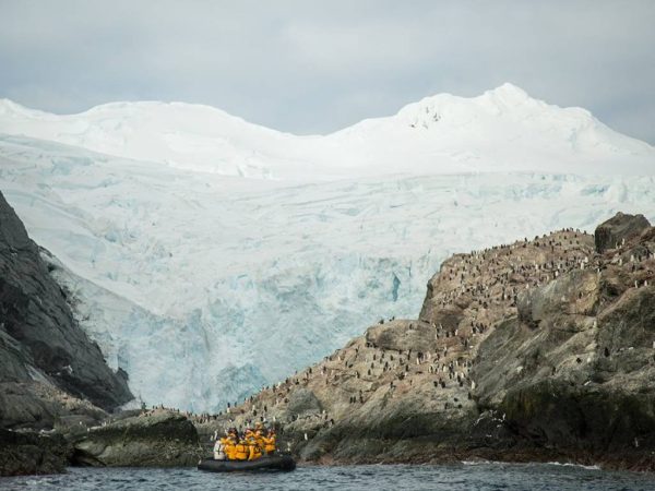 Elephant Island Antarctica