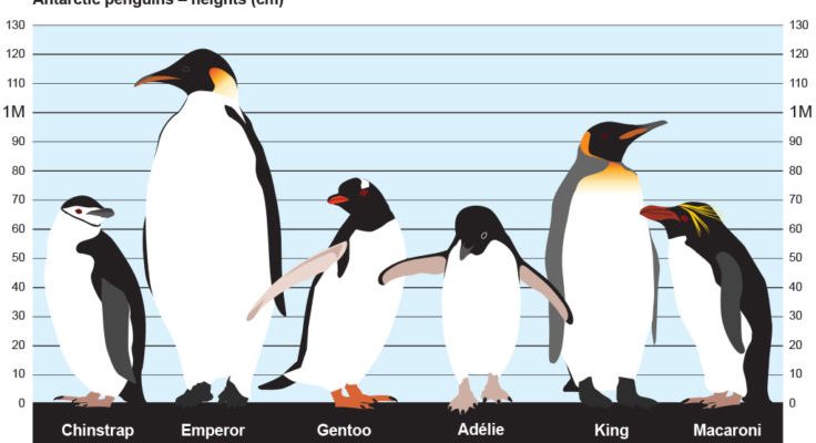 Kings Penguins