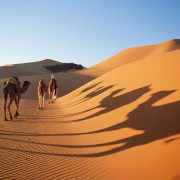 Reasons That You Should Visit the Desert