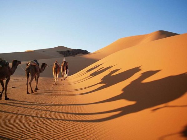 Reasons That You Should Visit the Desert