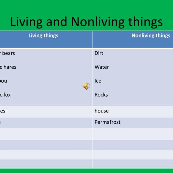 Nonliving Organisms in the Arctic