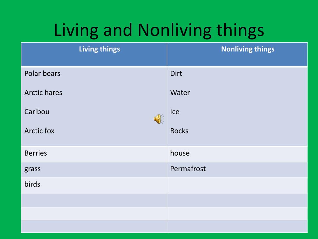 What Are the Nonliving Things in the Arctic