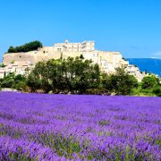Aix-en-Provence