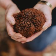 Truffle Treasures