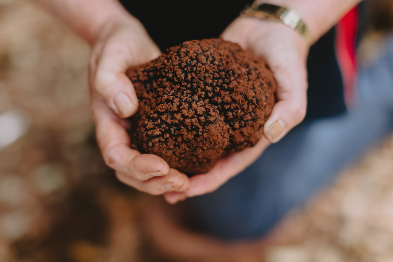 Truffle Treasures