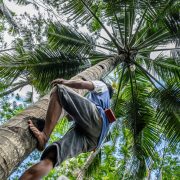 Safest Cities in Costa Rica